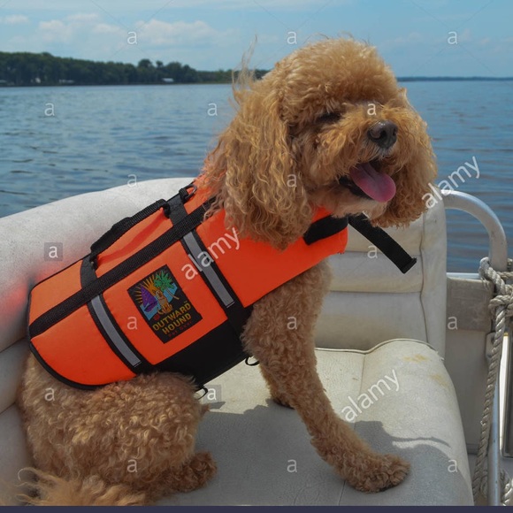 Outward Hound Other - Dog Doggie Lifejacket Life Vest Flotation Device